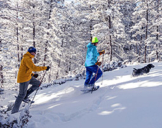 Schneeschuh-Tour mit dem eigenen Hund