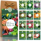 gemuese samen set 12 sorten bio gemuese saatgut perfektes gemueseset fuer garten | nachhaltiges Geschenk Gemüse Samen Set – 12 Sorten Bio Gemüse Saatgut. Perfektes Gemüseset für Garten und Balkon. Ideal als Geschenk für Frauen und Männer.